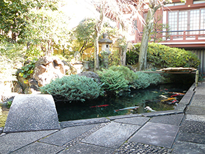 客殿より臨む日本庭園